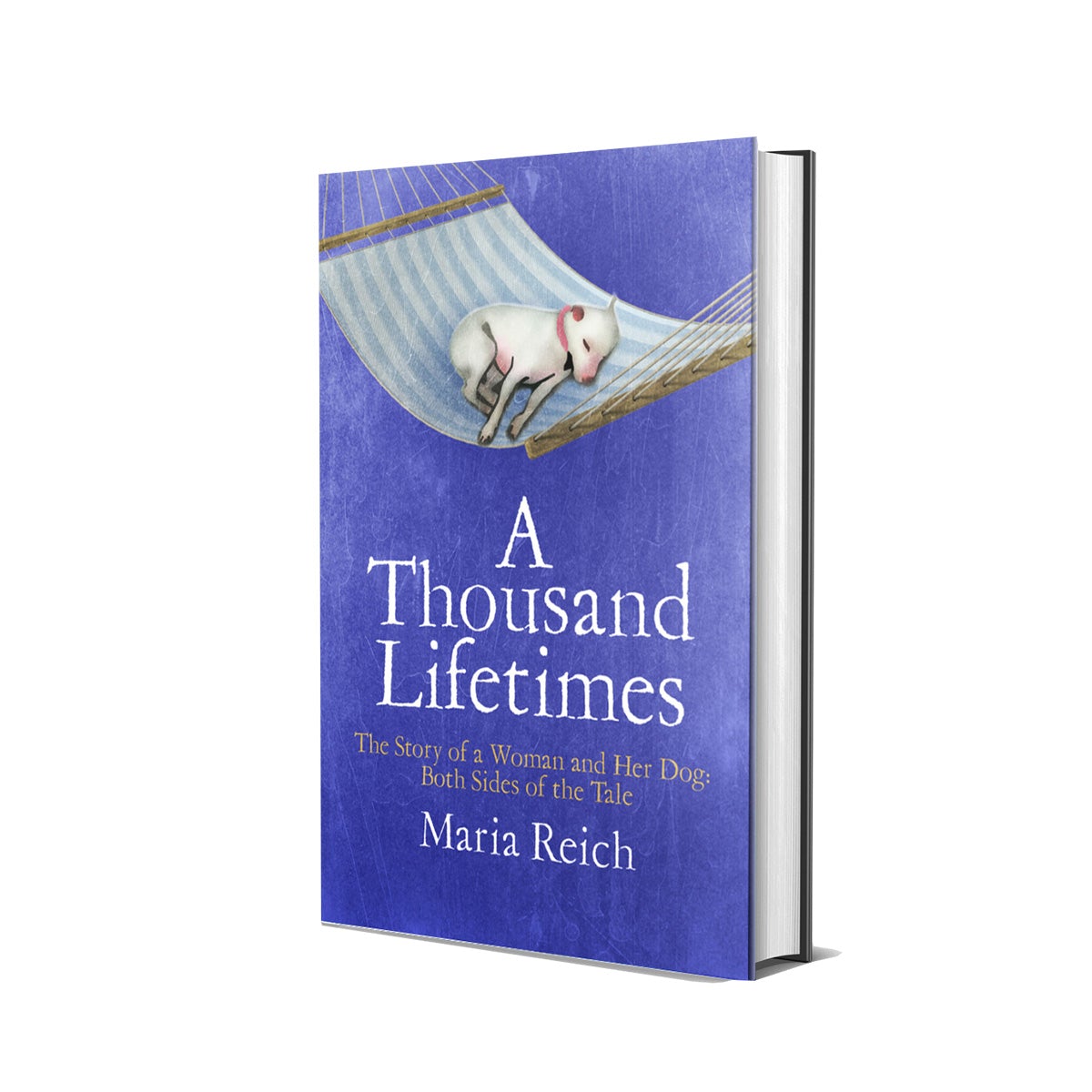 A Thousand Lifetimes