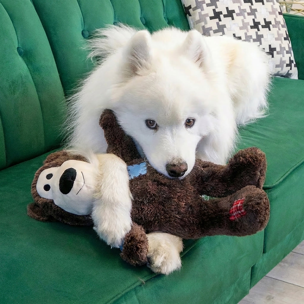 KONG Dog Toys Wild Knots Bear Assorted