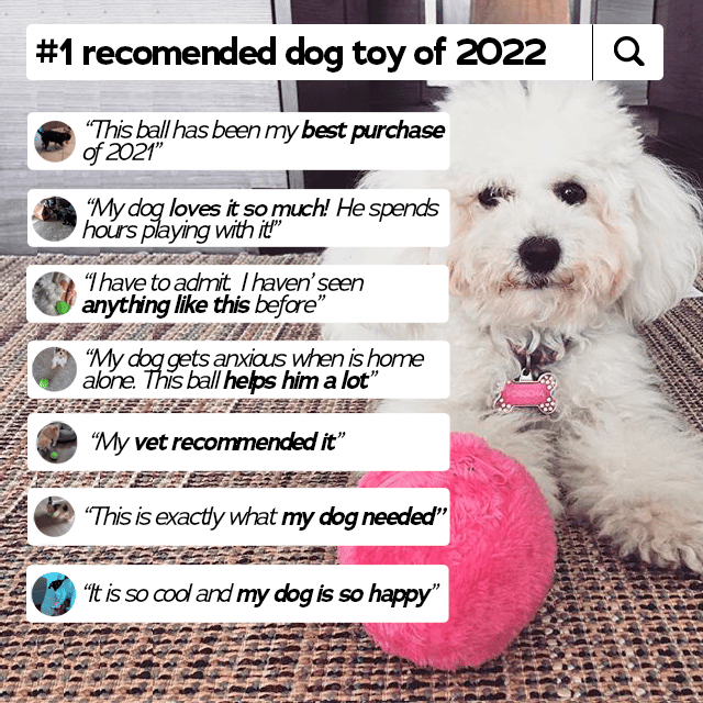 🔥LAST DAY-50%OFF🔥Anti-Anxiety Automatic Moving Ball Dogs And Cat Toys