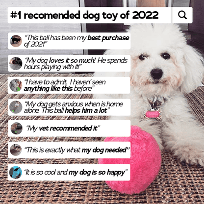 🔥LAST DAY-50%OFF🔥Anti-Anxiety Automatic Moving Ball Dogs And Cat Toys