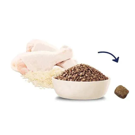 Advance Cat Kitten Chicken with Rice 3kg