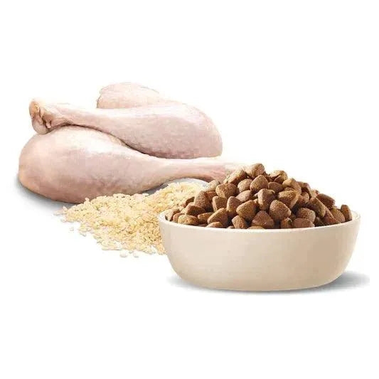 Advance Dog Adult Medium Breed Turkey with Rice 15kg