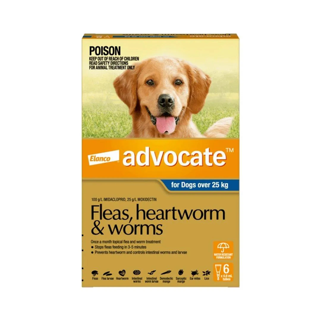Advocate Blue For Extra Large Dog - 25kg+ (6 Pack)