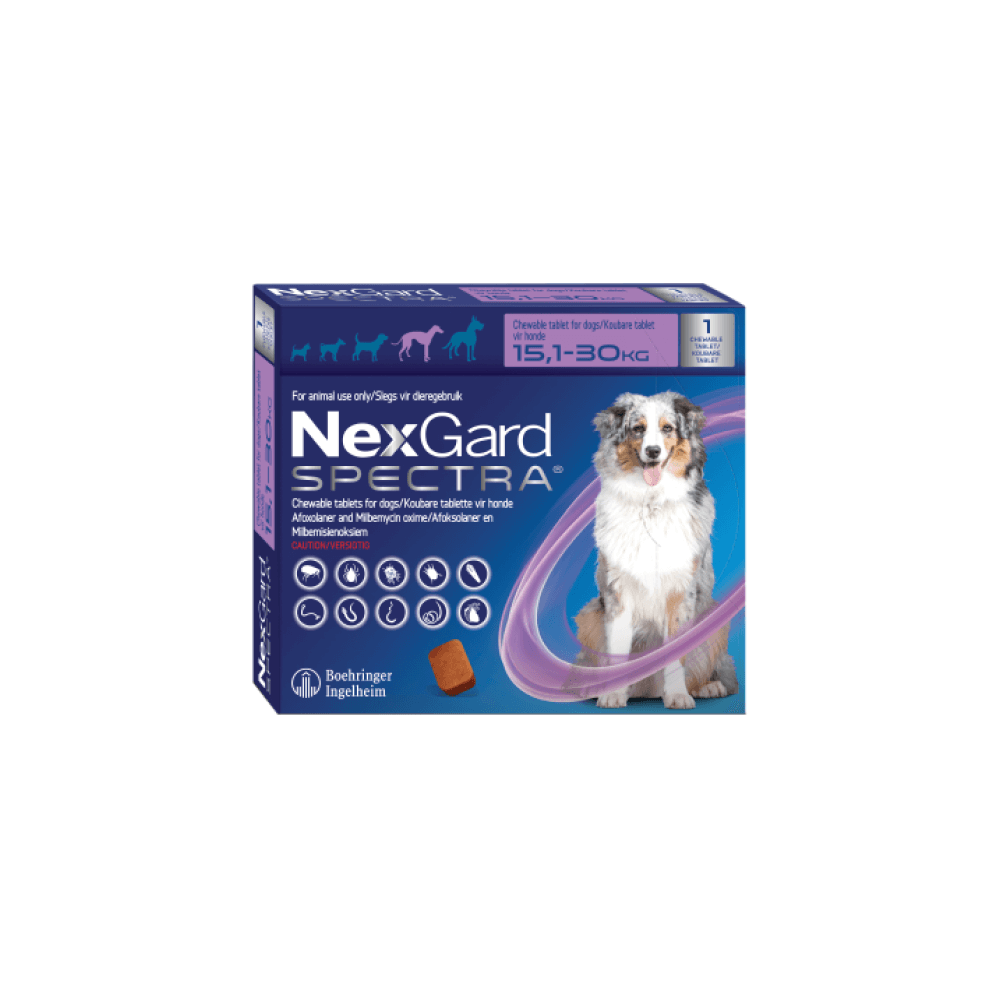 Nexgard Spectra Large Dog 15.1 - 30 kg Chewable Tick & Flea  (Pack Of 1 Tablet)