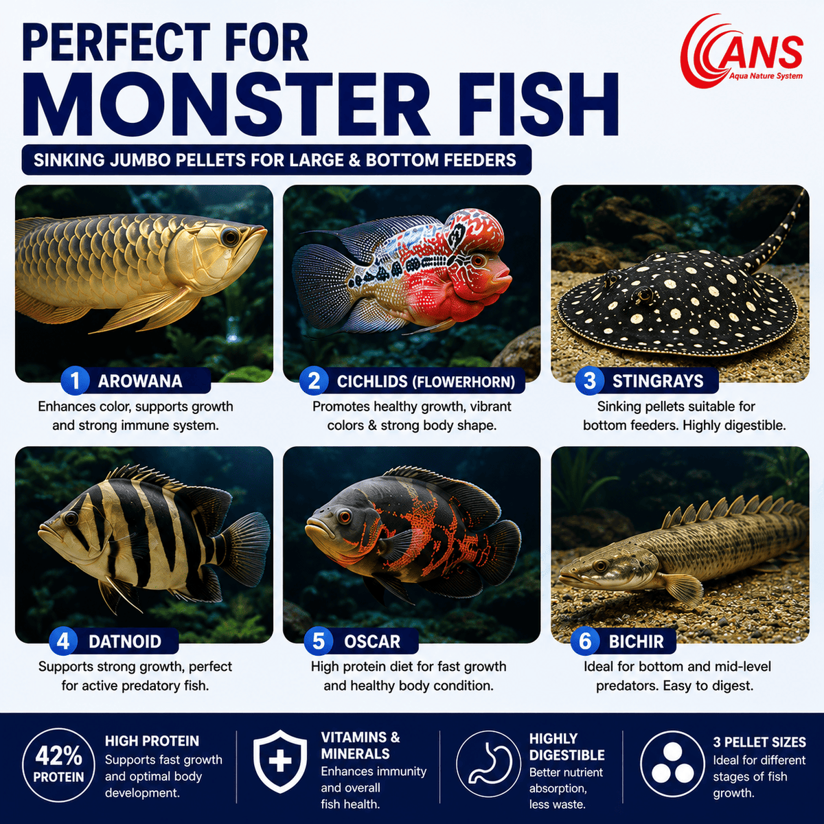 ANS Sinking Jumbo Pellets (S/M/L)