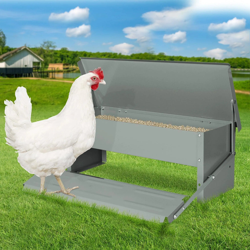 Automatic Chicken Feeder (10kg)