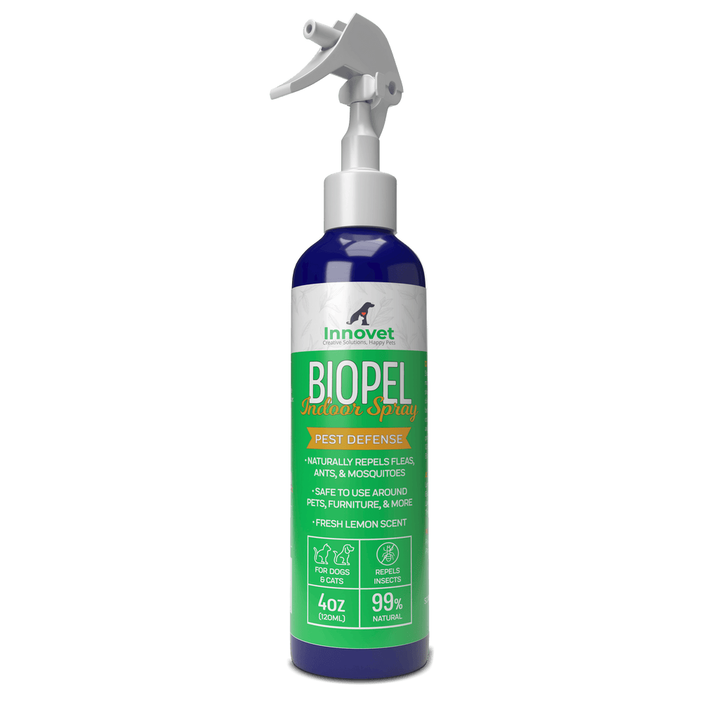 Indoor Insect Control Spray