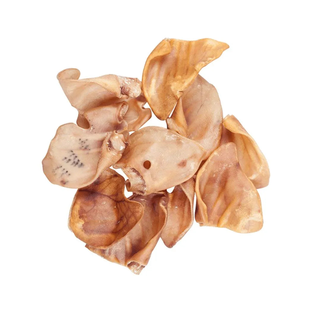 Blackdog Pig Ear 10 Pack