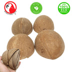 1031 Pk4  Half Shell Coconuts
