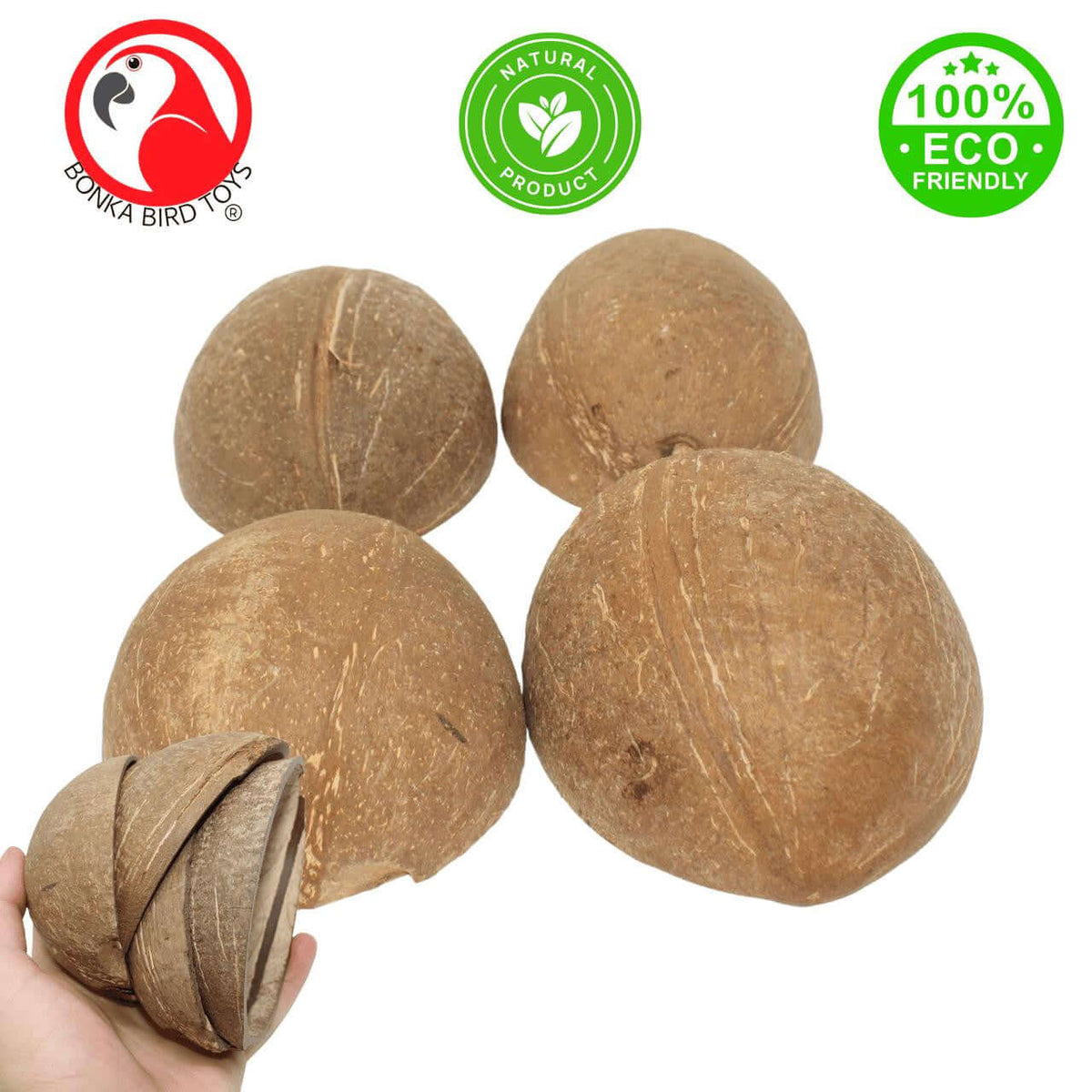 1031 Pk4  Half Shell Coconuts