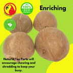 1031 Pk4  Half Shell Coconuts