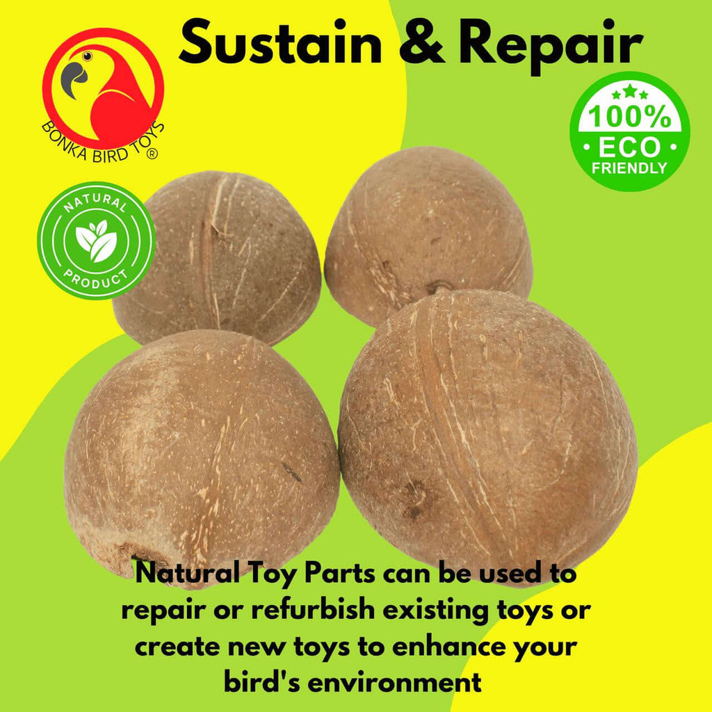 1031 Pk4  Half Shell Coconuts