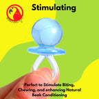 2823 Pk12 Medium Acrylic Pacifiers