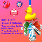 3804 Sneaker Duck