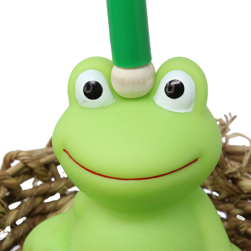 812 Magic Frog