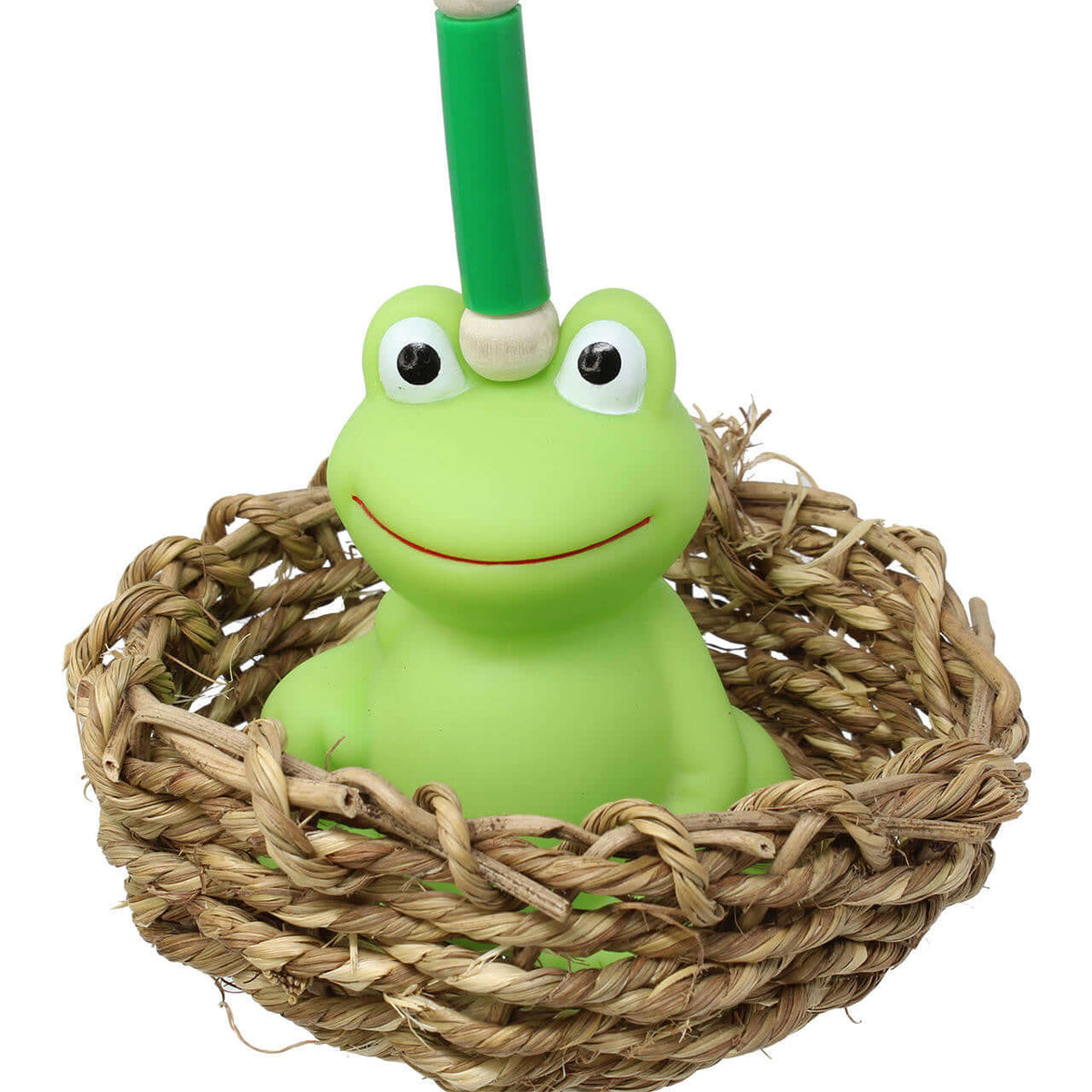 812 Magic Frog