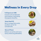 CBD Oil for Dogs