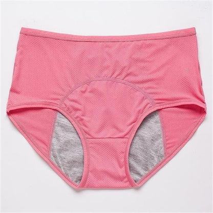 🎁New Year Sale 50% OFF💝New Upgrade High Waist Leak Proof Panties✨