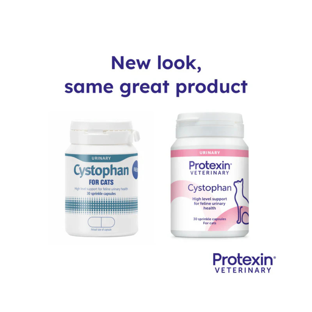 Protexin - Cystophan (Urinary Supplement for Cats) 240 Caps