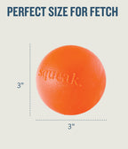 Planet Dog Orbee-Tuff Squeak Ball Dog Toy