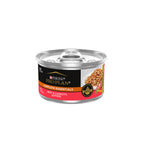 PRO PLAN Beef Entrée With Carrots In Gravy Wet Cat Food 85g