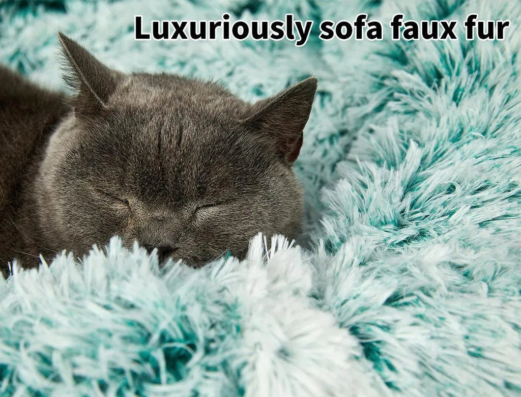 The Human Size Nap Bed