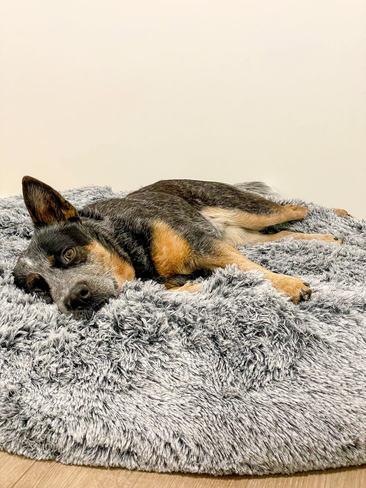 Premium Calming Pet Bed with Removable Cover