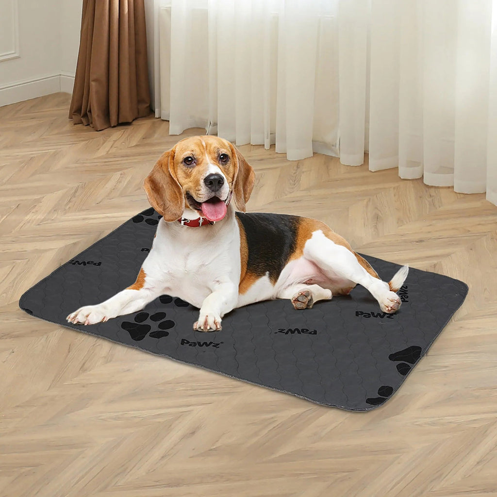 Reusable Puppy Pads - Washable & Super Absorbent