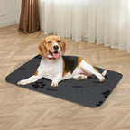 Reusable Puppy Pads - Washable & Super Absorbent
