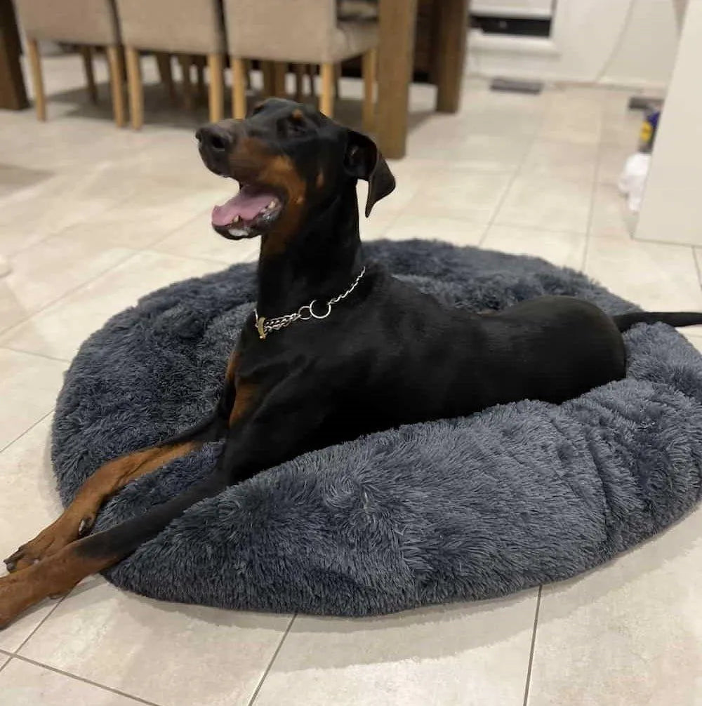 Calming Pet Bed Machine Washable