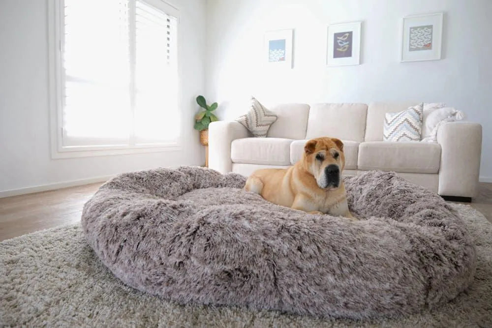 The Human Size Nap Bed