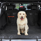 Pet Back Seat Cover
