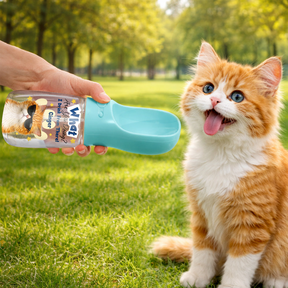 We Drink From There Ver Cat Photo - Personalized Pet Water Bottle With Drinking Feeder