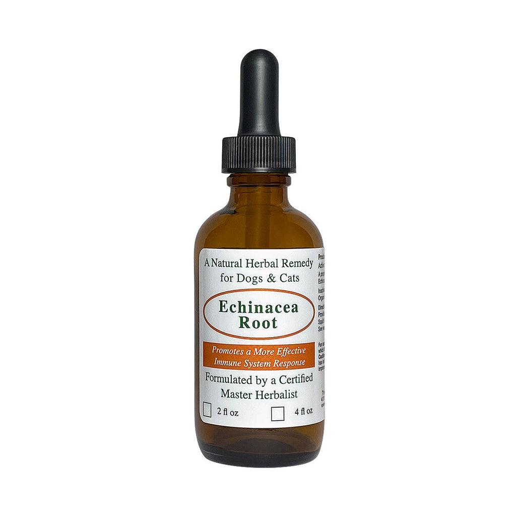Echinacea Root for Dogs and Cats