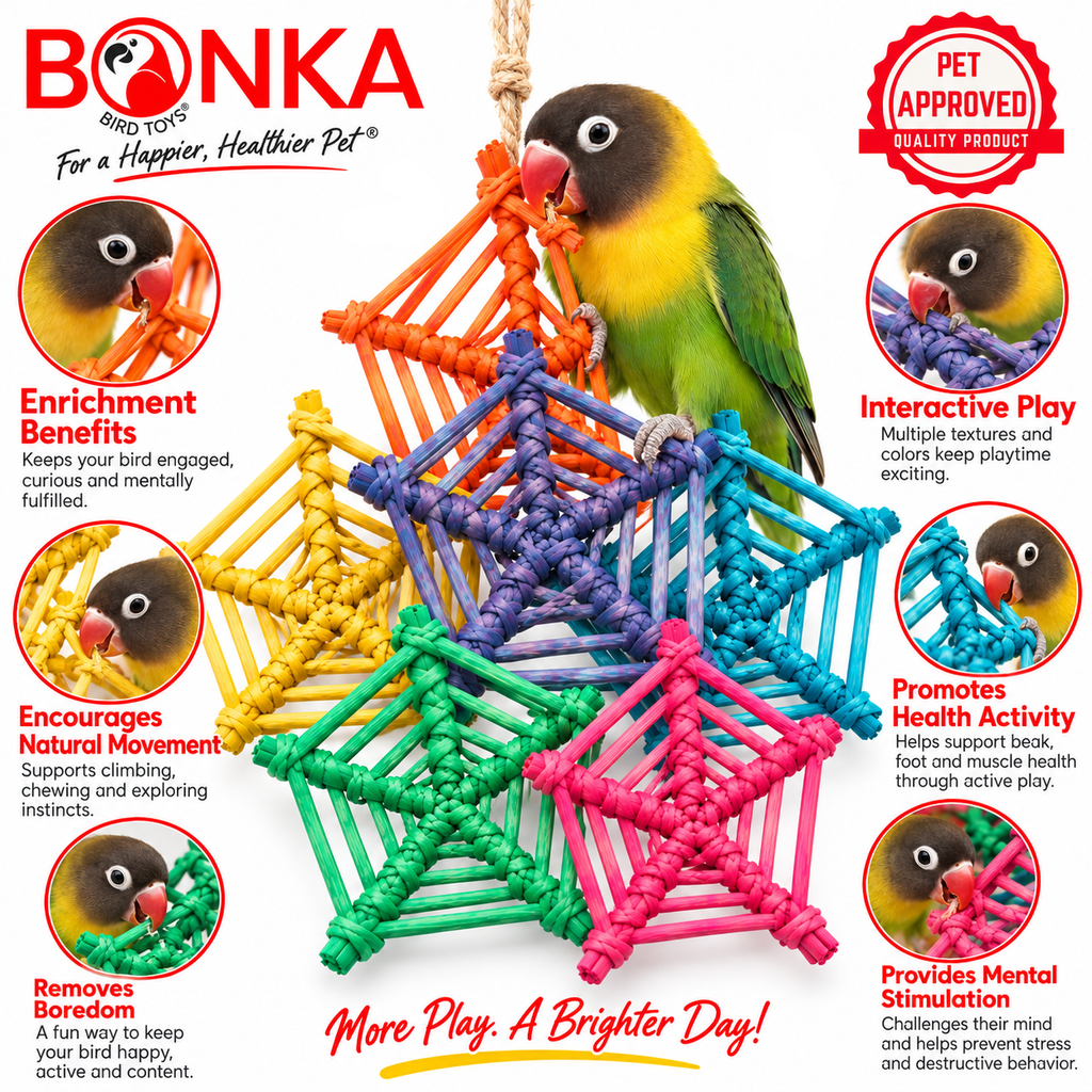 2506 Pk6 Color Vine Web
