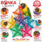 2506 Pk6 Color Vine Web