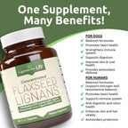 Flaxseed Lignans