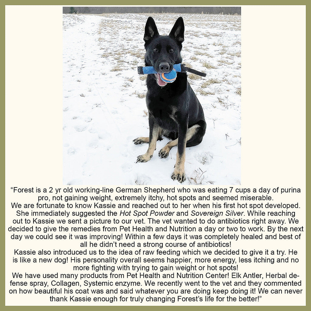 Hot Spot Powder Remedy for Dogs and Cats