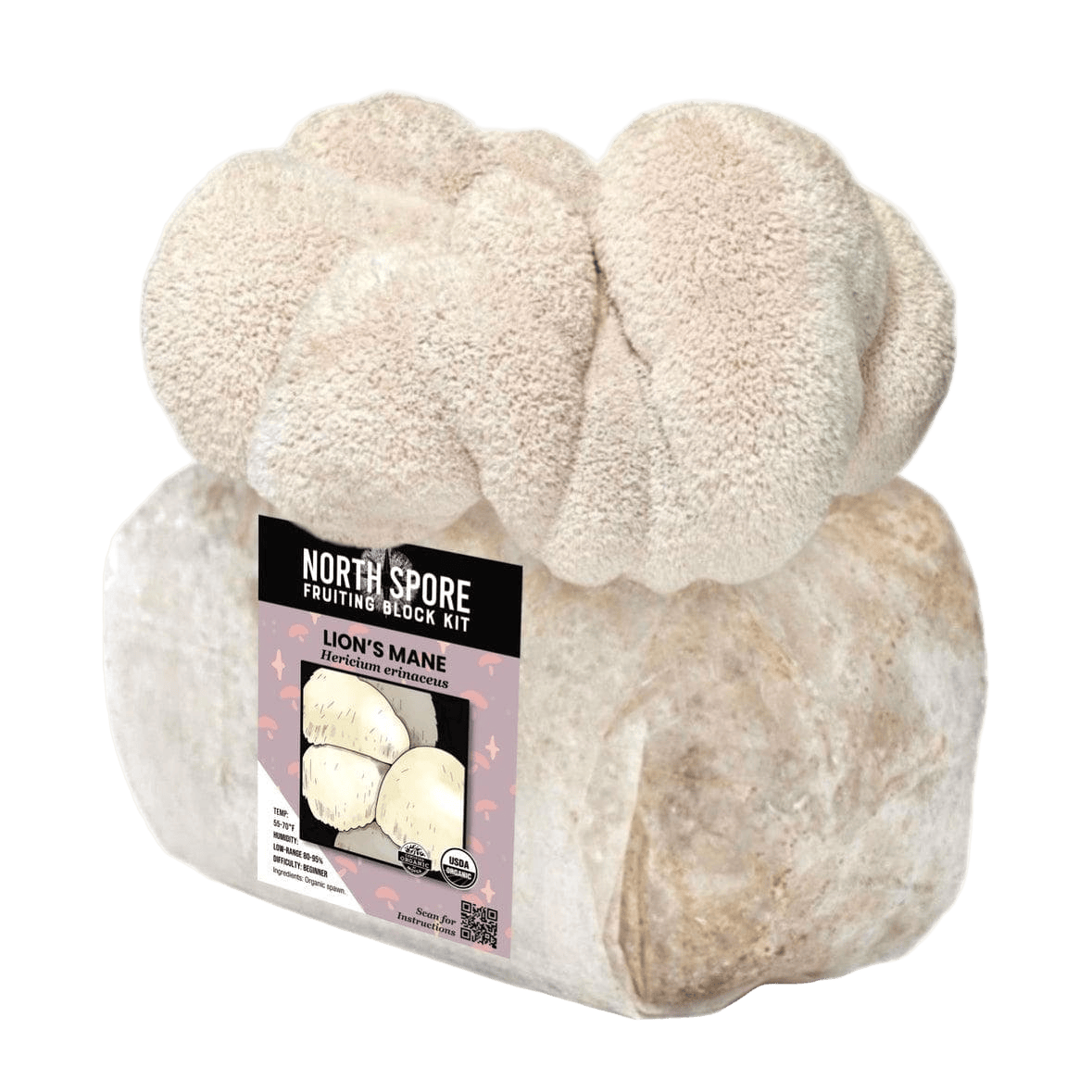 Organic Lion's Mane Mushroom Grow Kit Fruiting Block