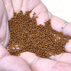 DiscusFood Angelfish Super Growth - Growth Booster (80/230g)
