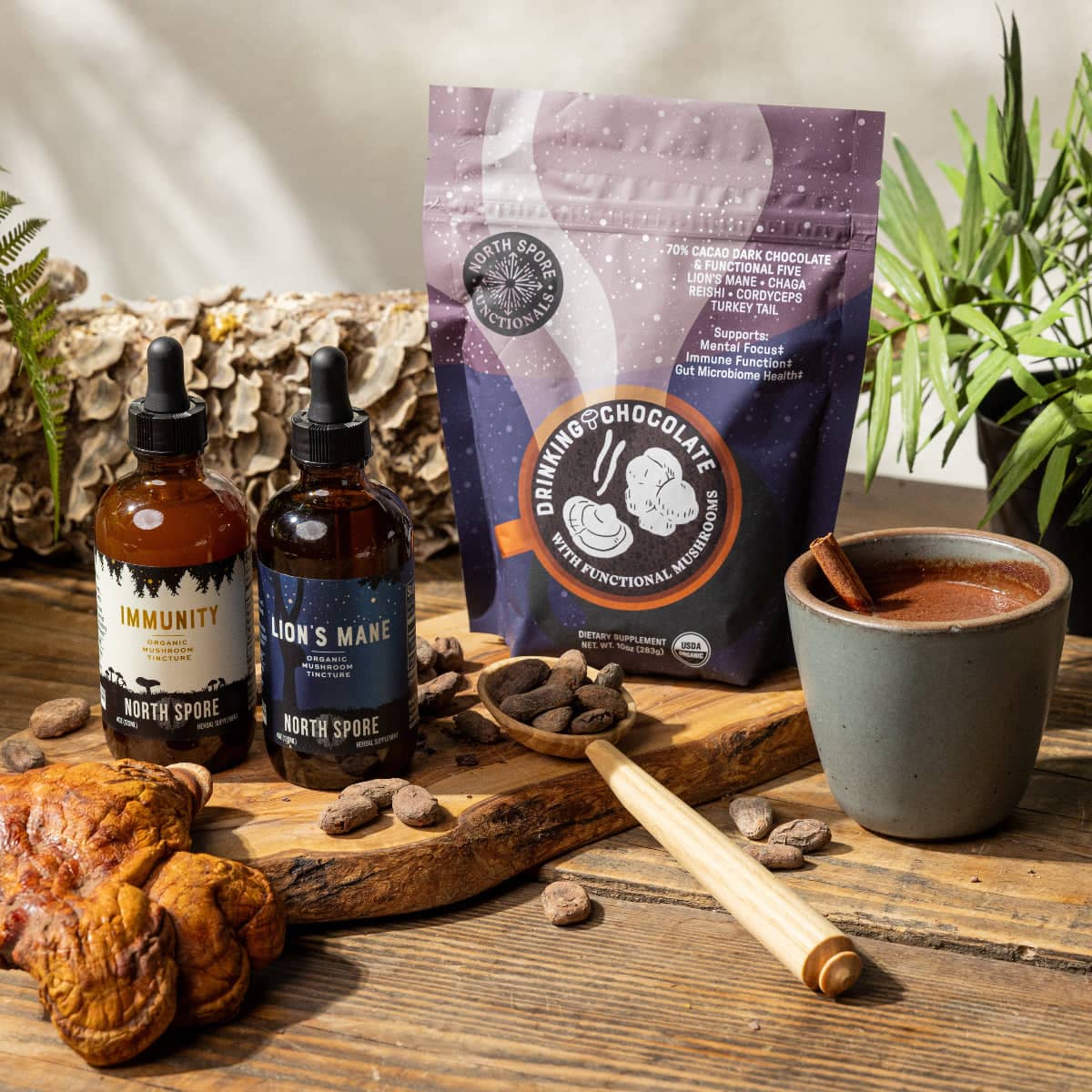 Winter Wellness Mushroom Chocolate & Tincture Set