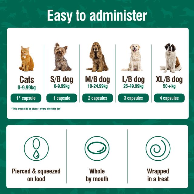 Nutravet - Nutracoat (Skin & Coat for Dogs & Cats) 45 caps