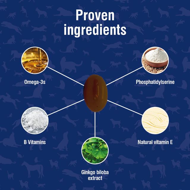 Nutramind (Brain Health Supplement for Dogs & Cats) 45 caps