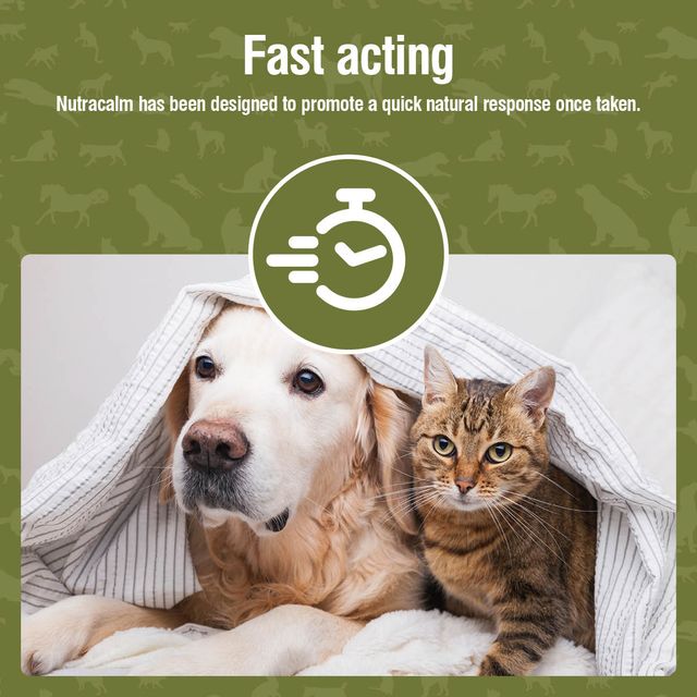 Nutravet - Nutracalm (Stress & Anxiety Supplements for Dogs & Cats) 15 caps