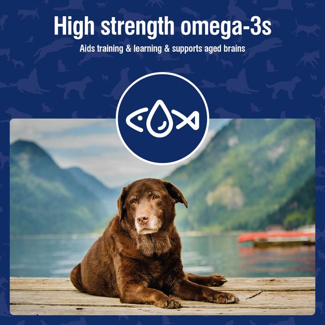 Nutramind (Brain Health Supplement for Dogs & Cats) 45 caps