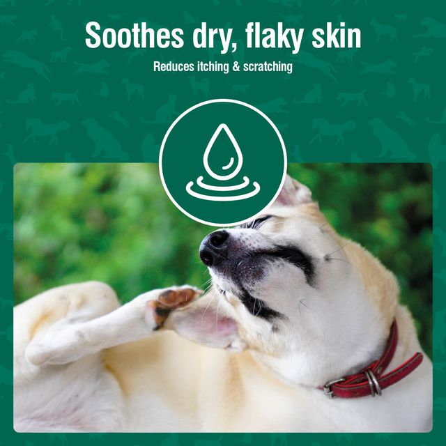 Nutravet - Nutracoat (Skin & Coat for Dogs & Cats) 45 caps