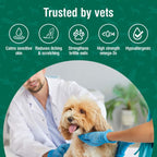 Nutravet - Nutracoat (Skin & Coat for Dogs & Cats) 45 caps