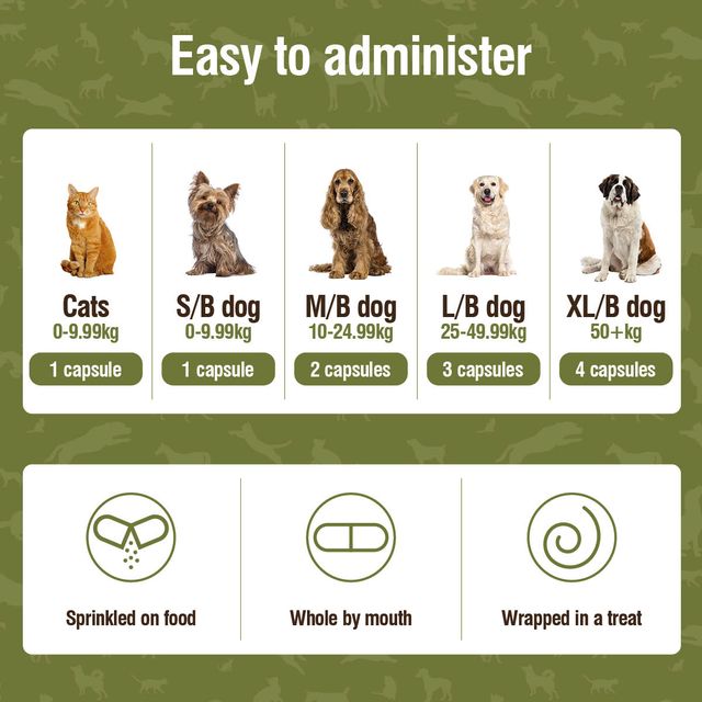 Nutravet - Nutracalm (Stress & Anxiety Supplements for Dogs & Cats) 15 caps