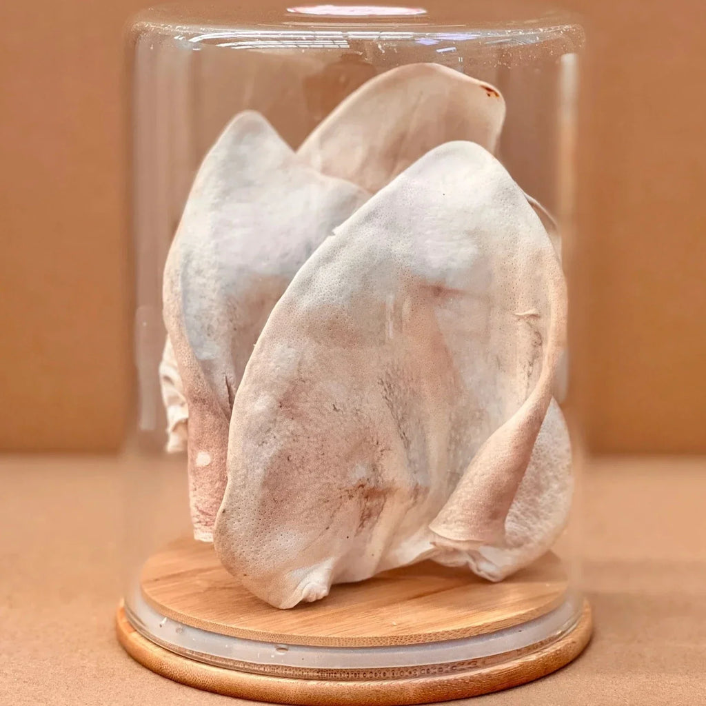 Freezy Paws Freeze Dried Pig Ear Pet Treats for Cats & Dogs