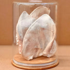 Freezy Paws Freeze Dried Pig Ear Pet Treats for Cats & Dogs